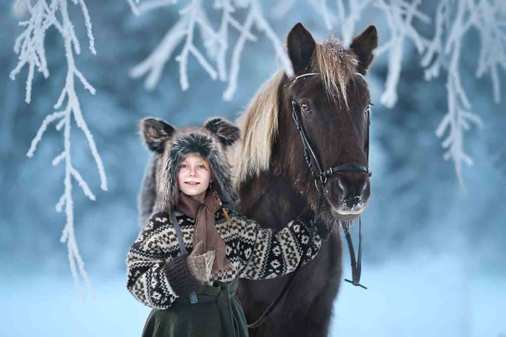 Winter icelandic horse Fotograf Maria Lindberg