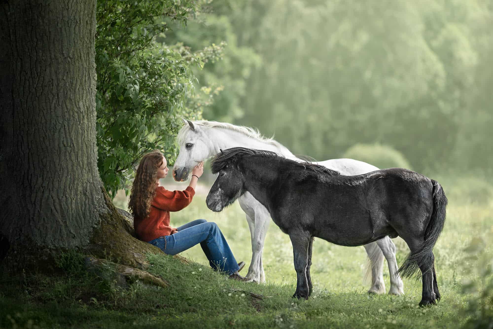 Hästfotografering Fotograf Maria Lindberg